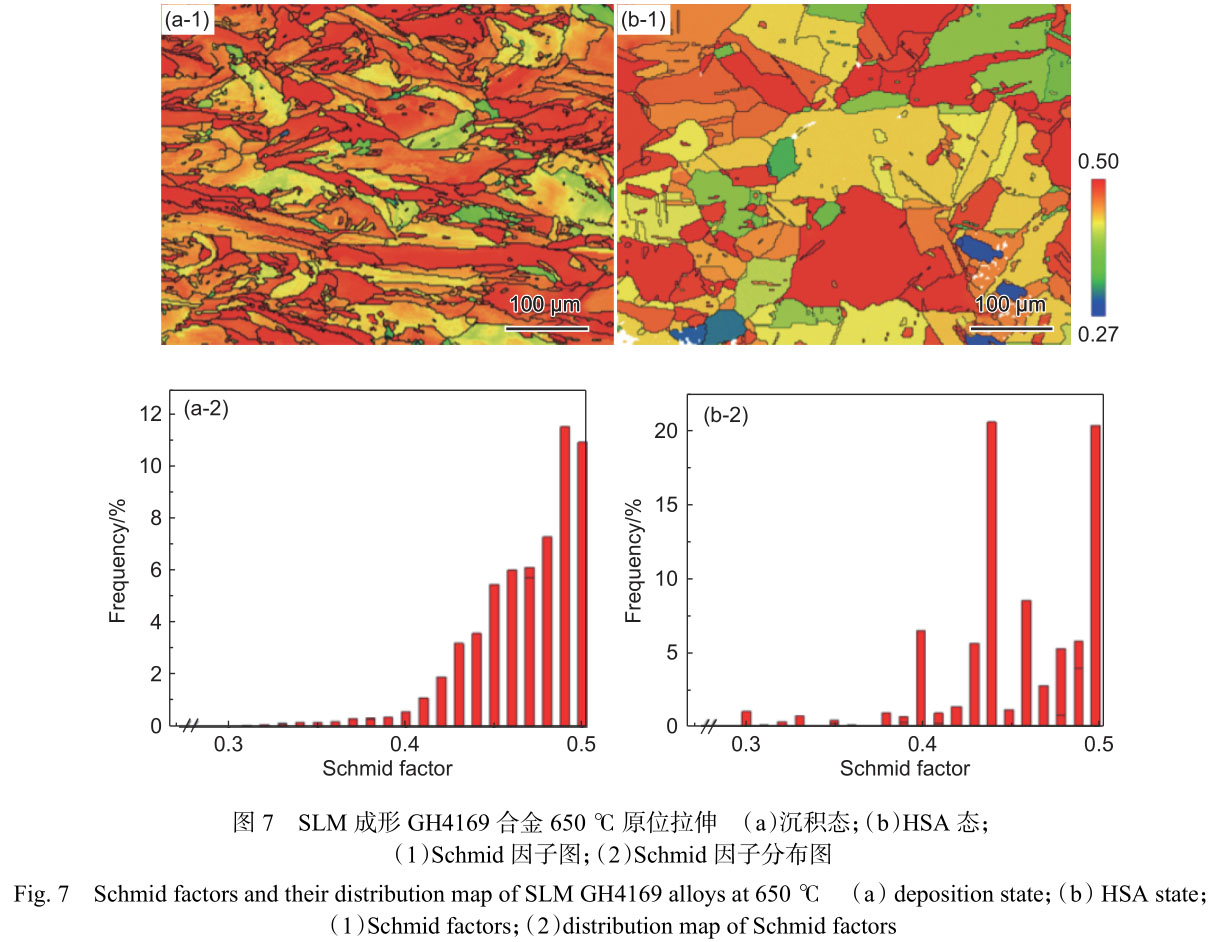 原位拉伸研究熱處理對(duì)激光選區(qū)熔化GH4169合金組織及650℃力學(xué)性能的影響