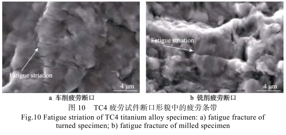 1696907922582966.jpg t10.jpg