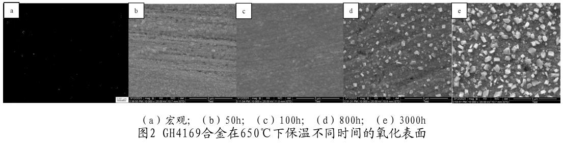 1713411066685322.jpg 360截圖16241229738769.jpg