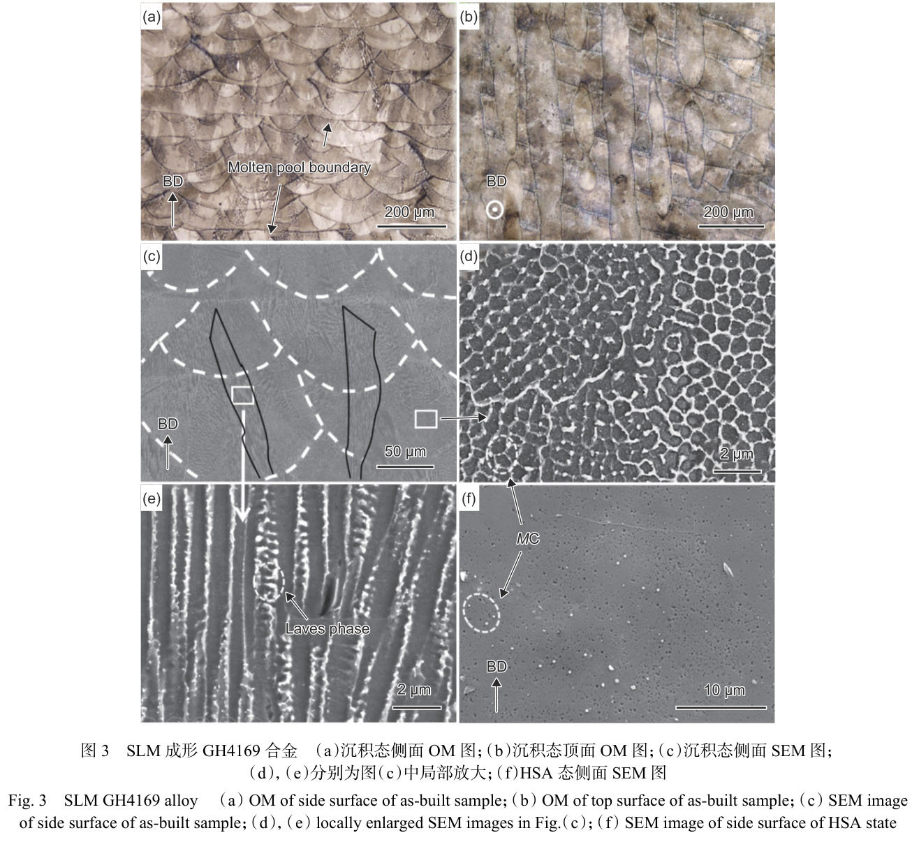 1716285200702740.jpg 未標(biāo)題-1.jpg