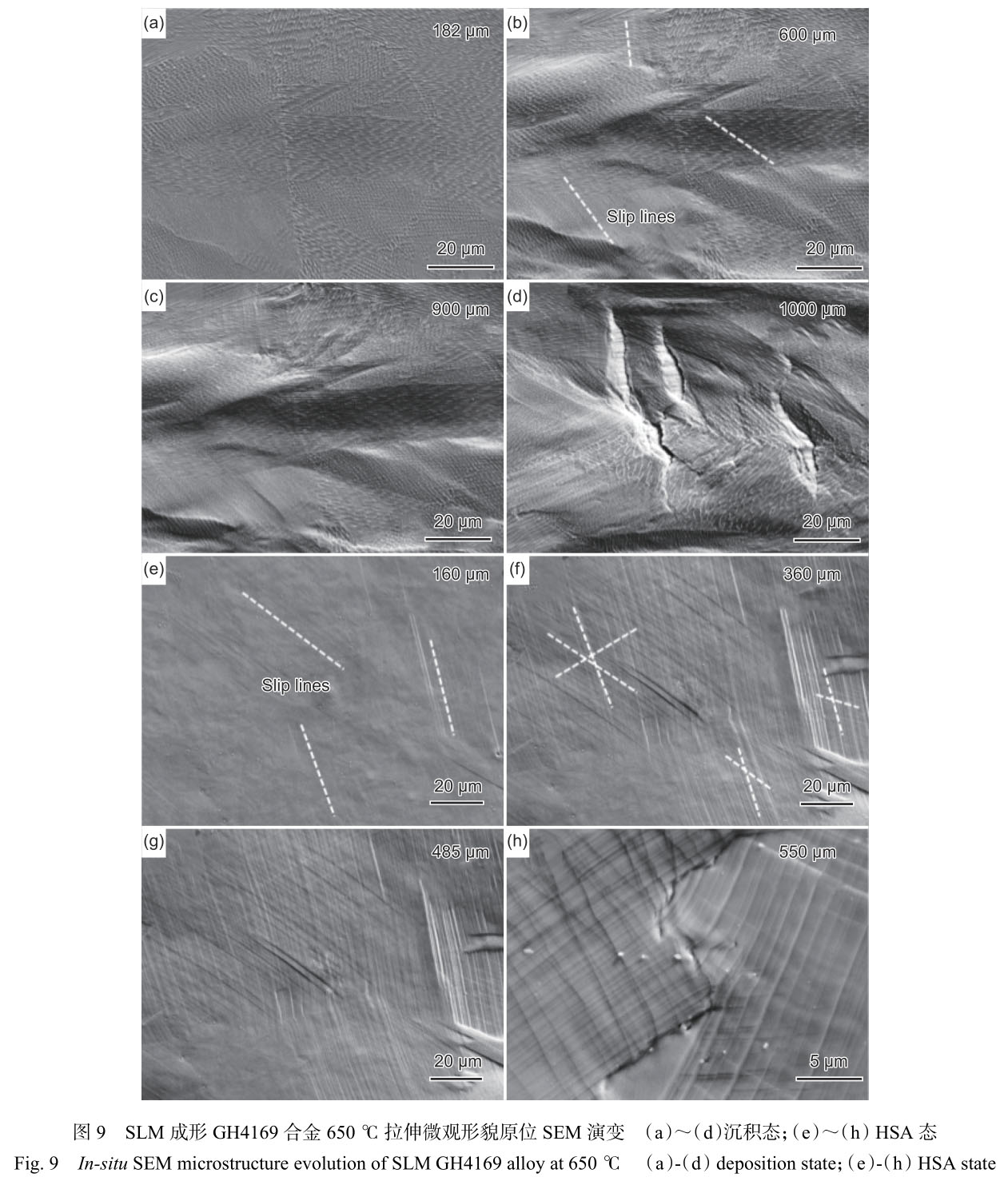 1716285275387713.jpg 未標(biāo)題-8.jpg