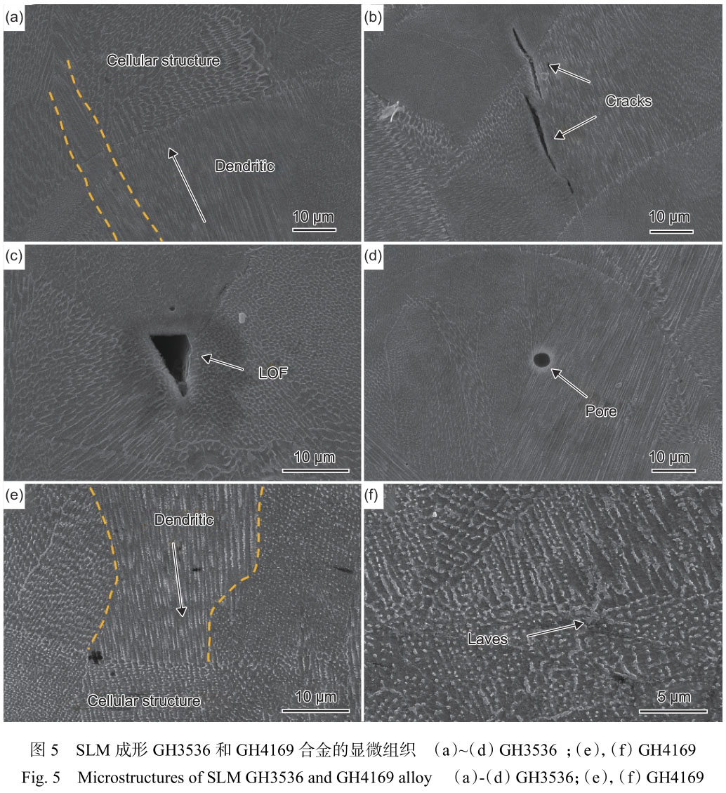1716295719724145.jpg 未標(biāo)題-1.jpg