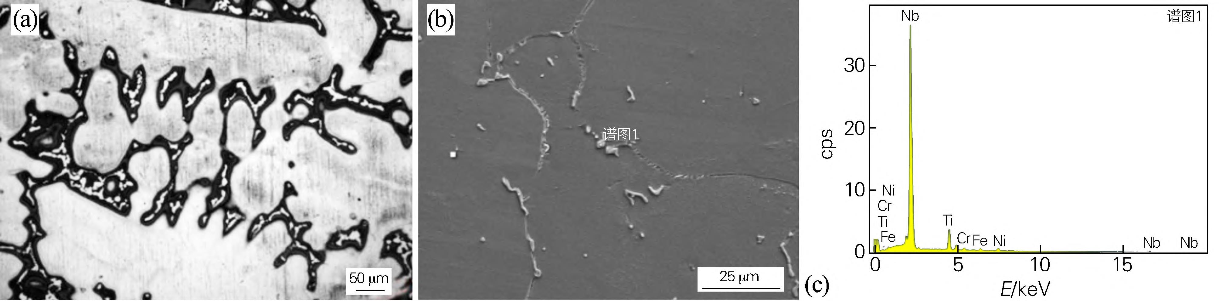 1716341279525636.jpg 1.jpg